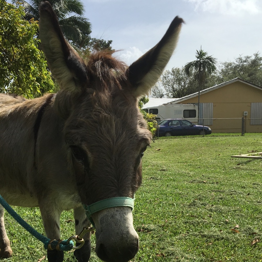 Meet your Posher, Maria